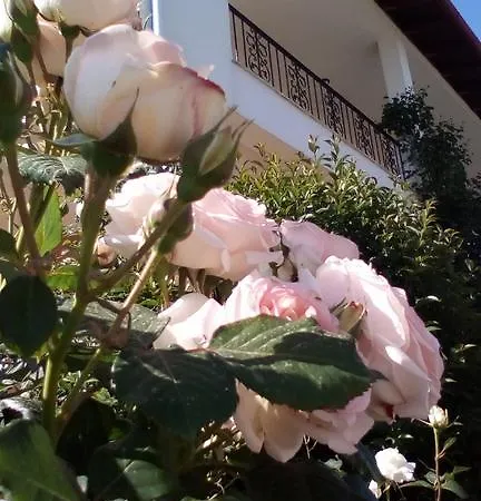 Archontiko Dimitra فندق فيرغينا