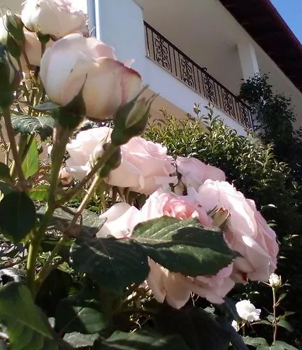 Archontiko Dimitra Hotel Vergina